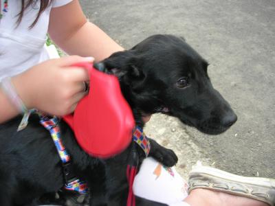 Tengo tengo tengo  la foto